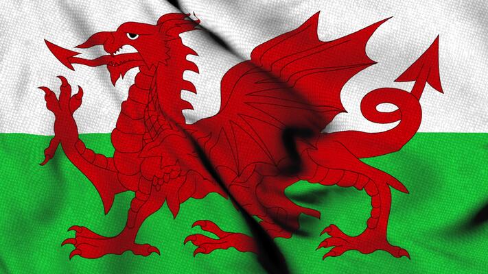 🏴 Life Charms Welsh Bracelets 🏴