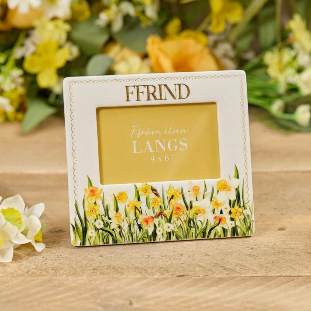 Welsh Daffodil Ceramic 3D Raised Detail With Gold Ffrind Photo Frame