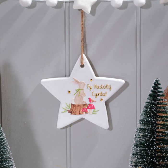 Welsh First Christmas Star Hanger Fy Nadolig Cyntaf Bunny
