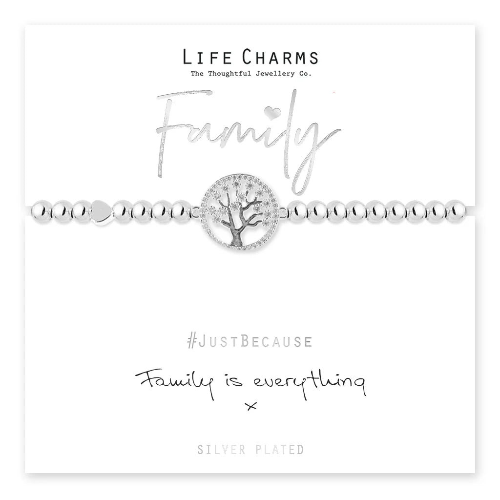 Life Charms Family is Everything Bracelet