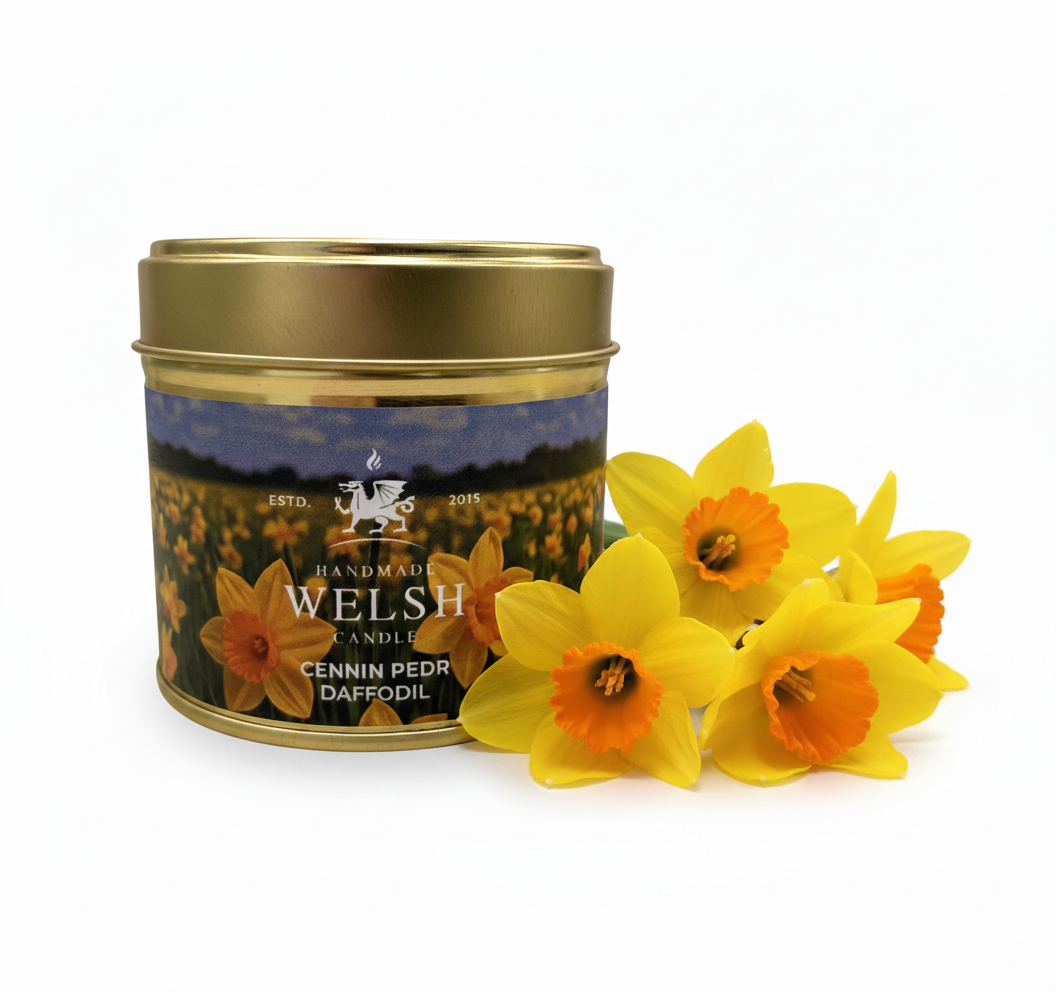 Handmade Welsh Candle | Daffodil Tin Candle *Limited Edition*