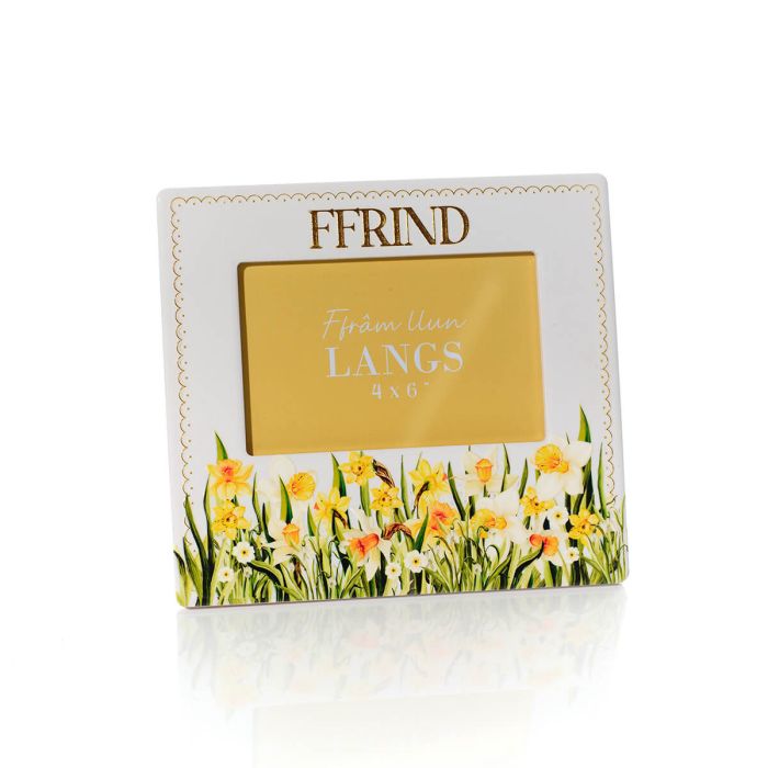 Welsh Daffodil Ceramic 3D Raised Detail With Gold Ffrind Photo Frame